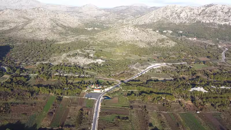 image of olive gardens